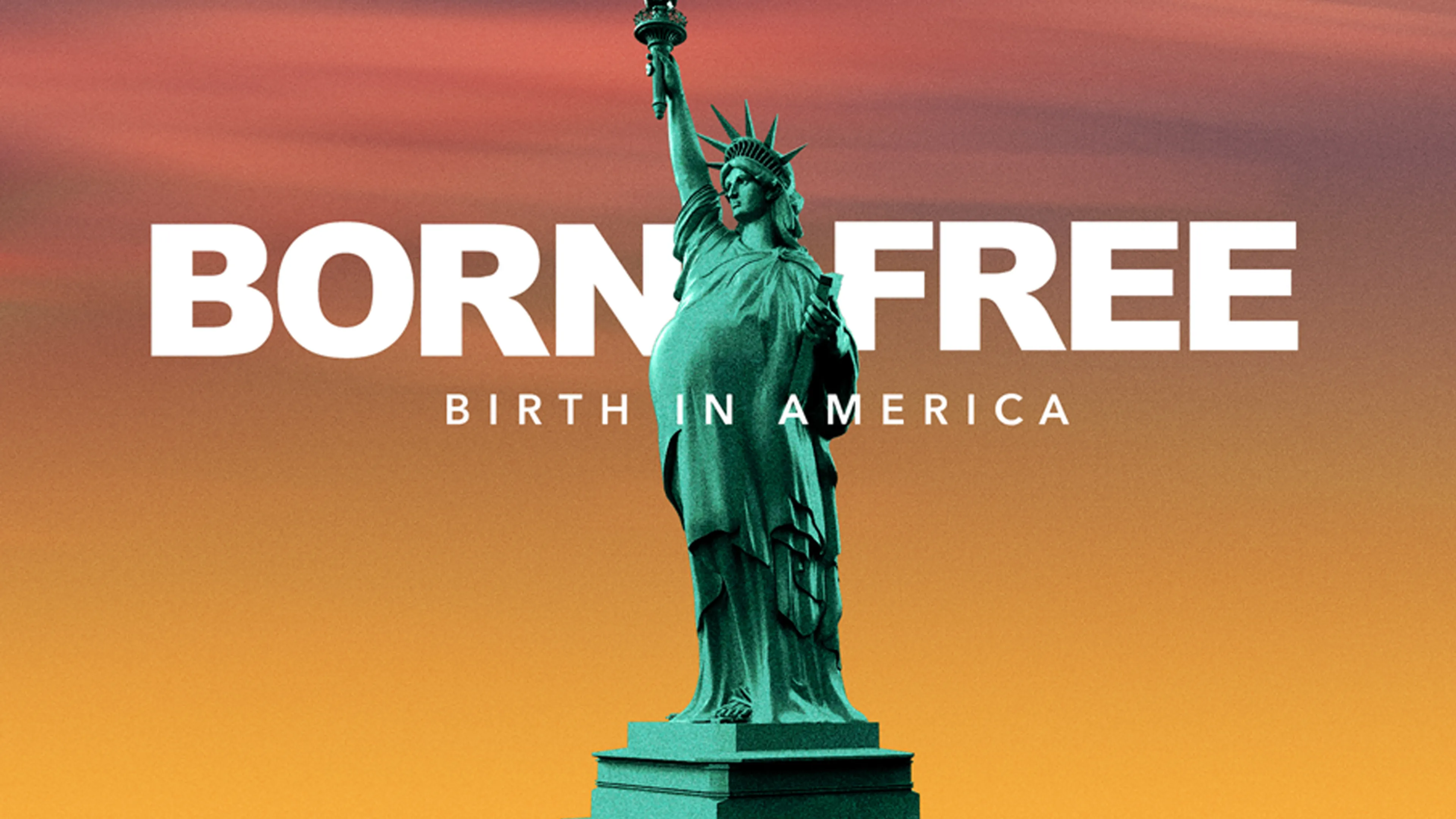 Born Free: Birth in America poster